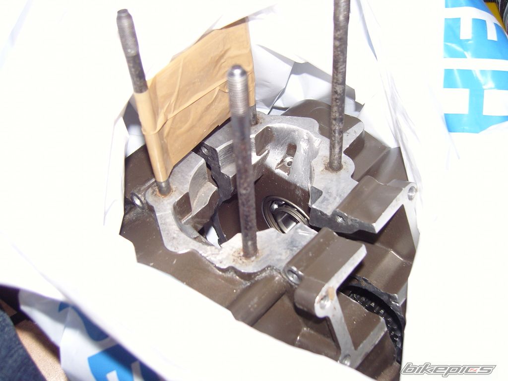 Photo 1213266
