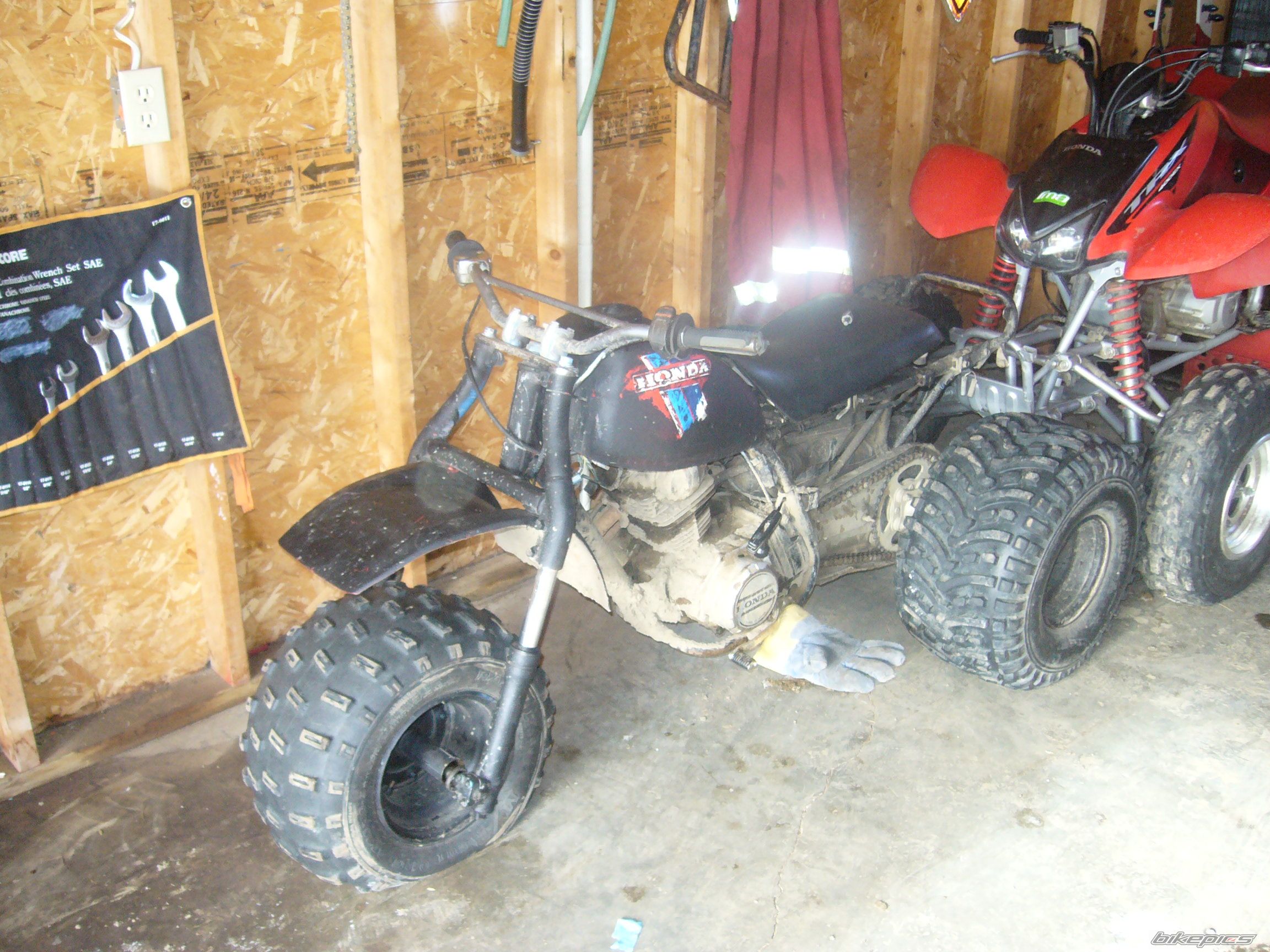 Photo 1213281