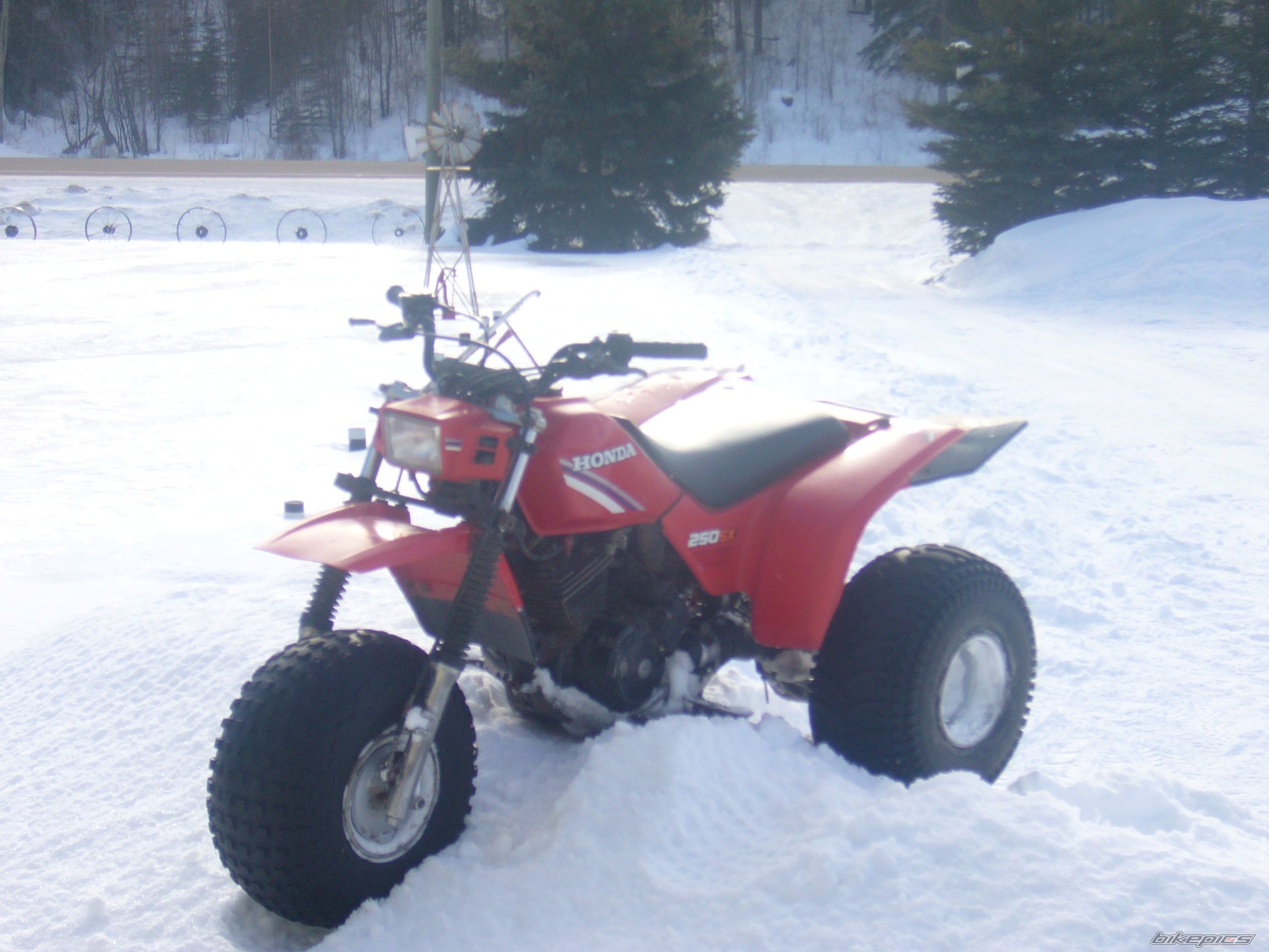 Photo 1213299