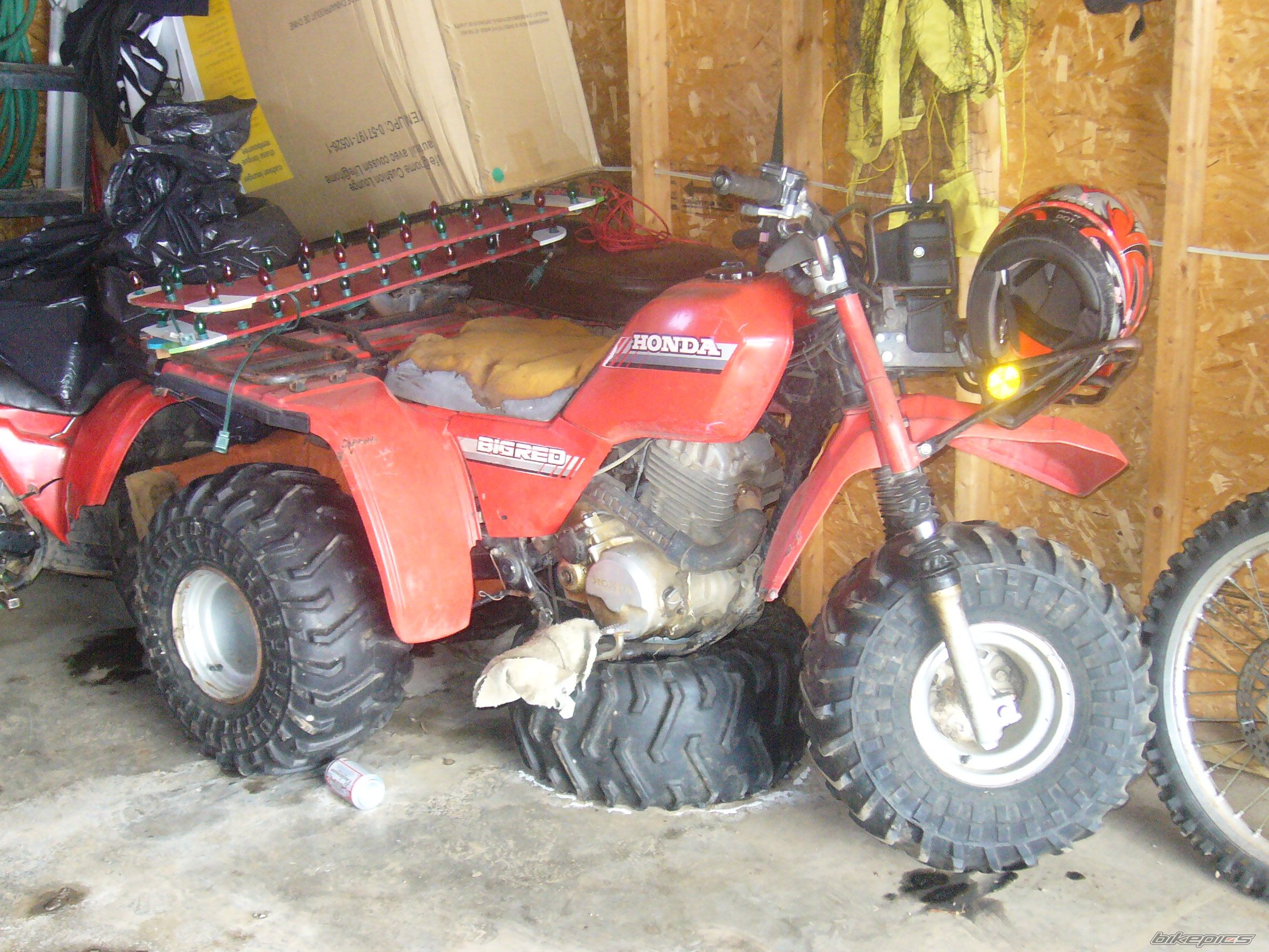 Photo 1213314