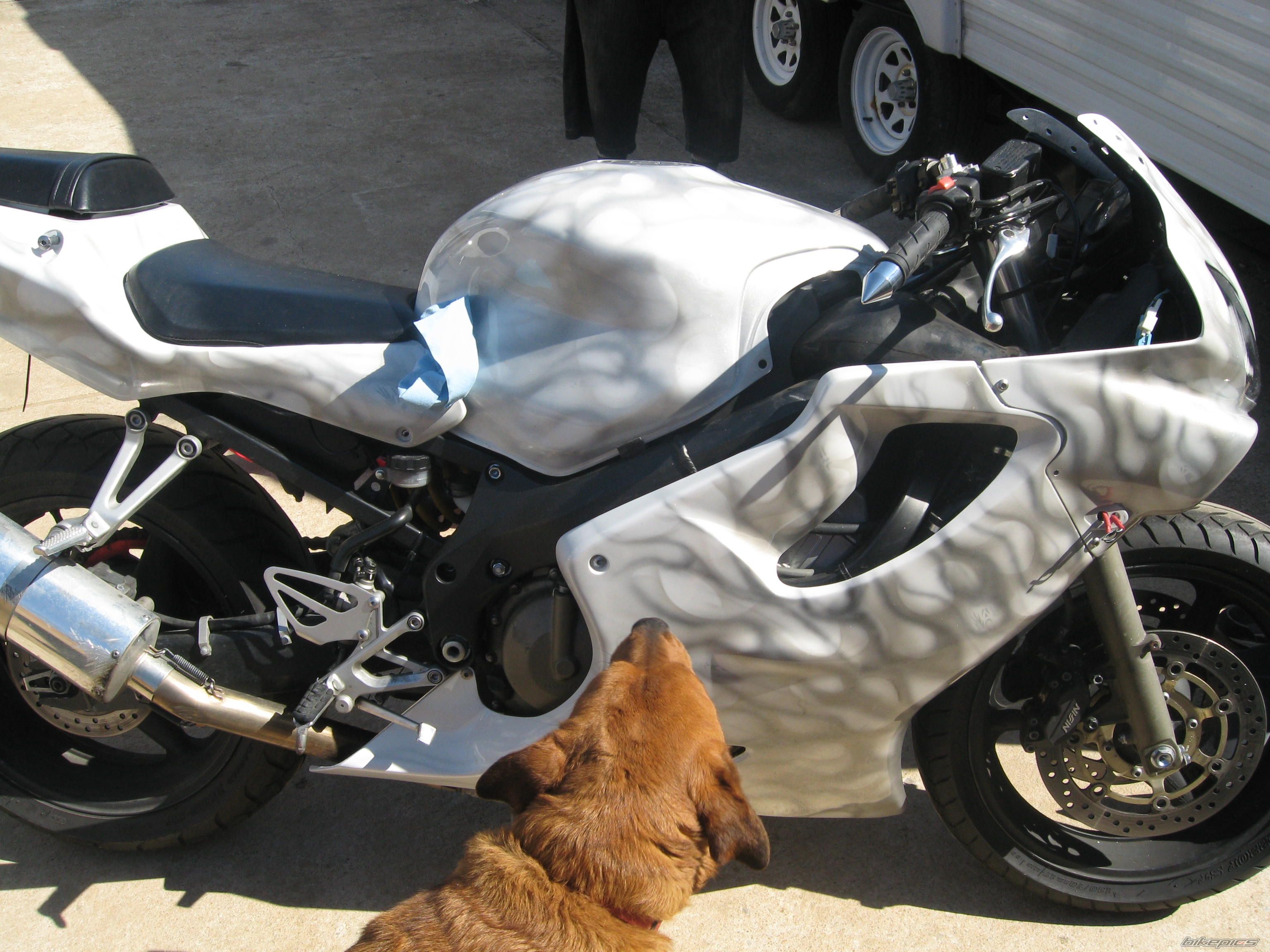 Photo 1213521