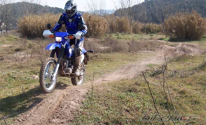 Photo 121360