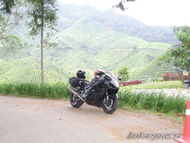 Bike Photo 1213709