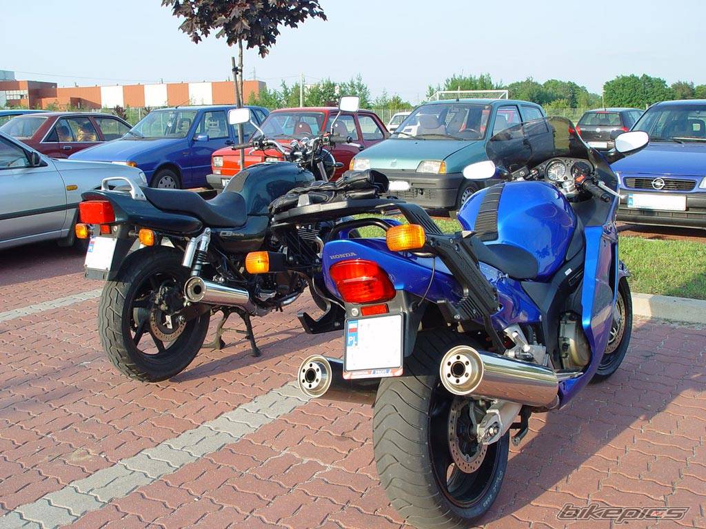 Photo 121376