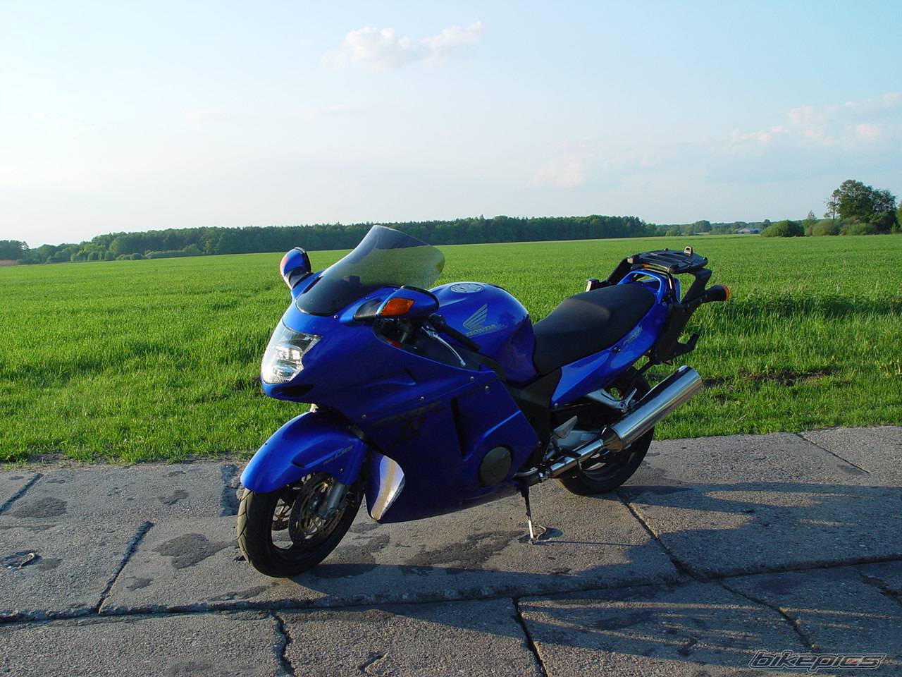 Photo 121384
