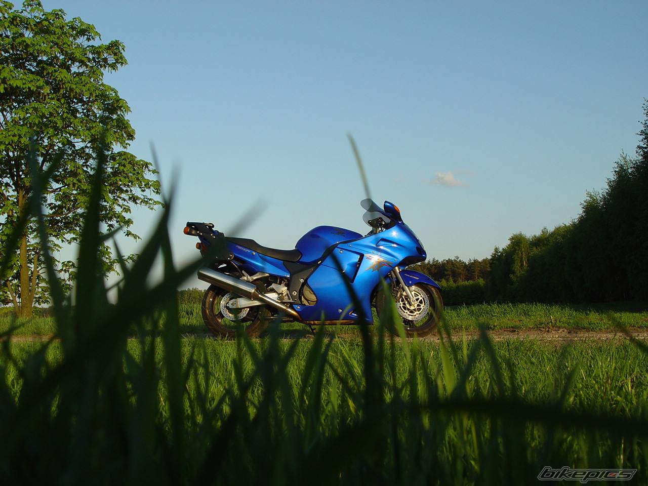 Photo 121386