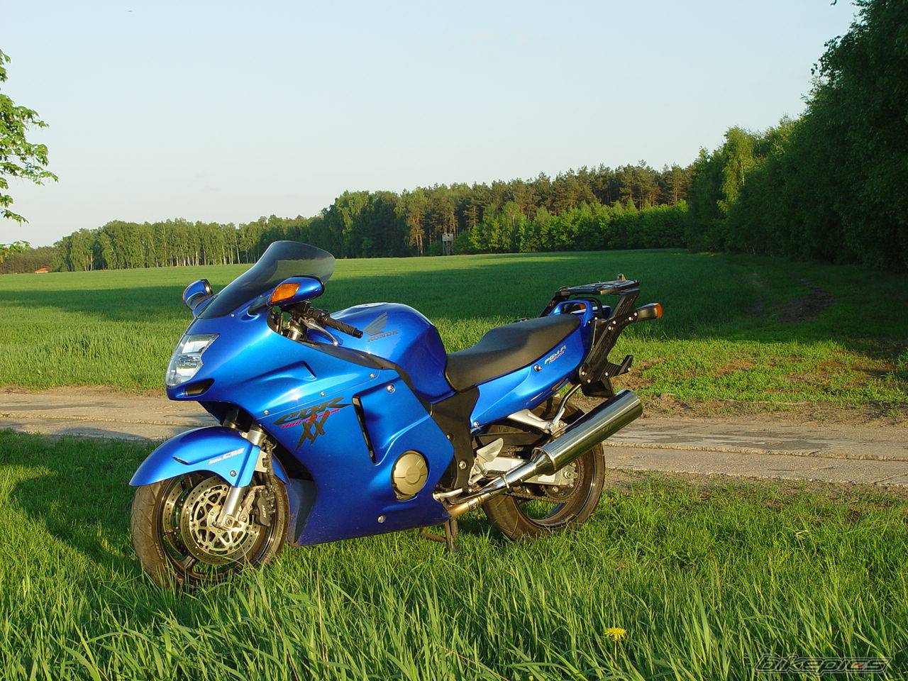 Photo 121387