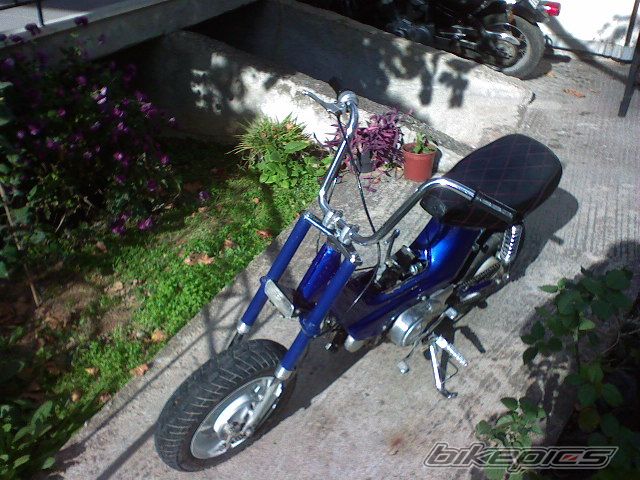Photo 1213874