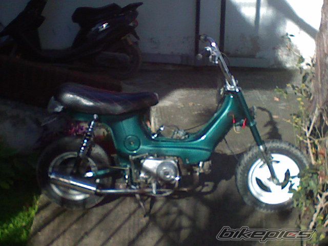 Photo 1213882
