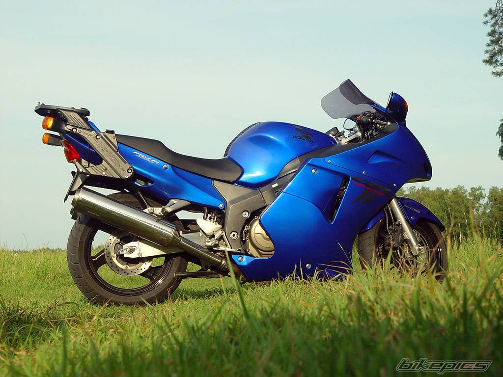 Photo 121392