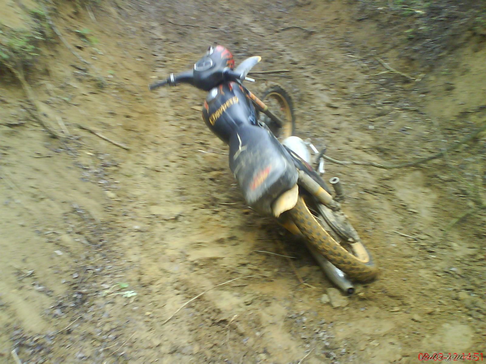 Photo 1213937