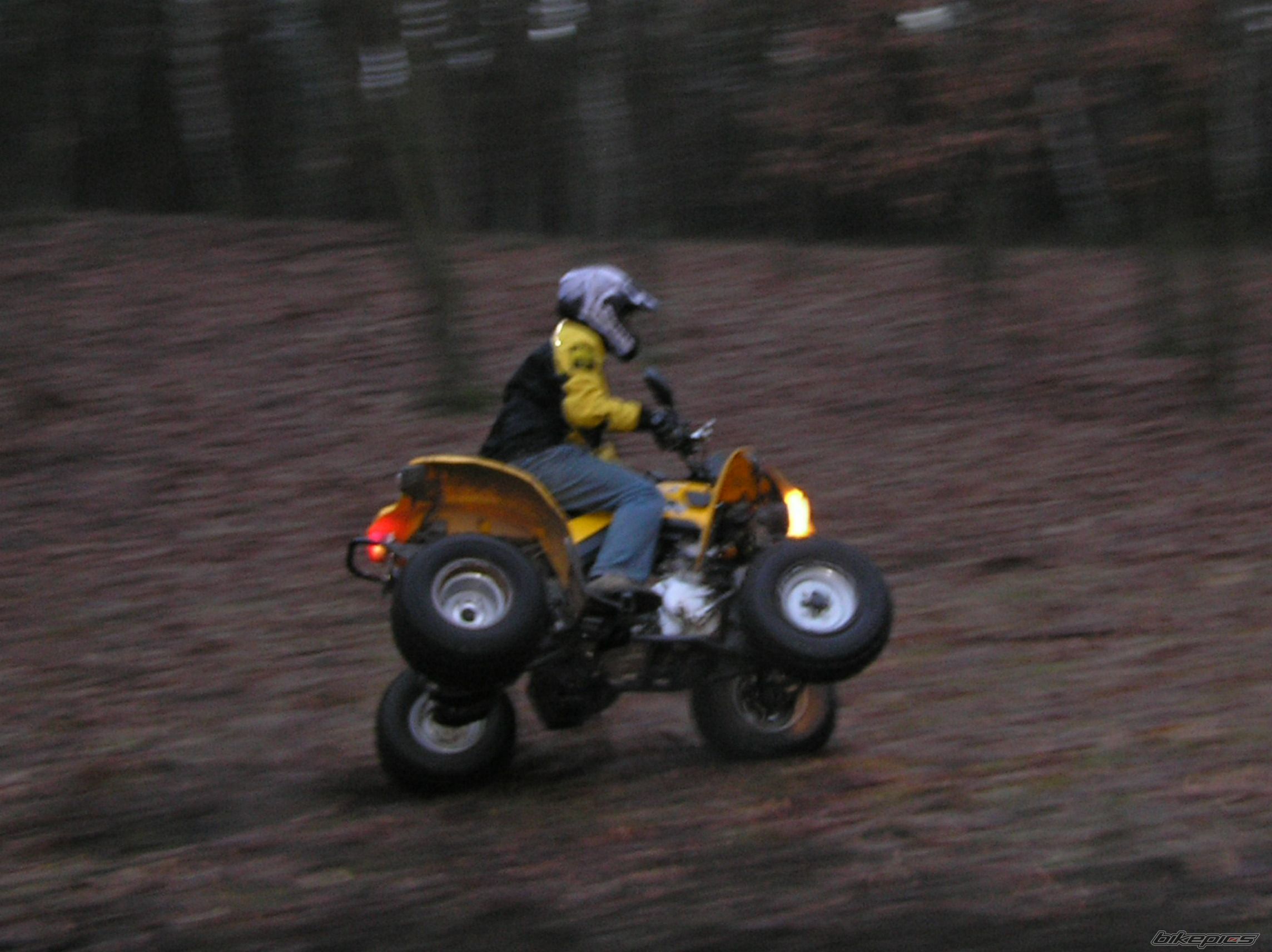 Photo 1214003