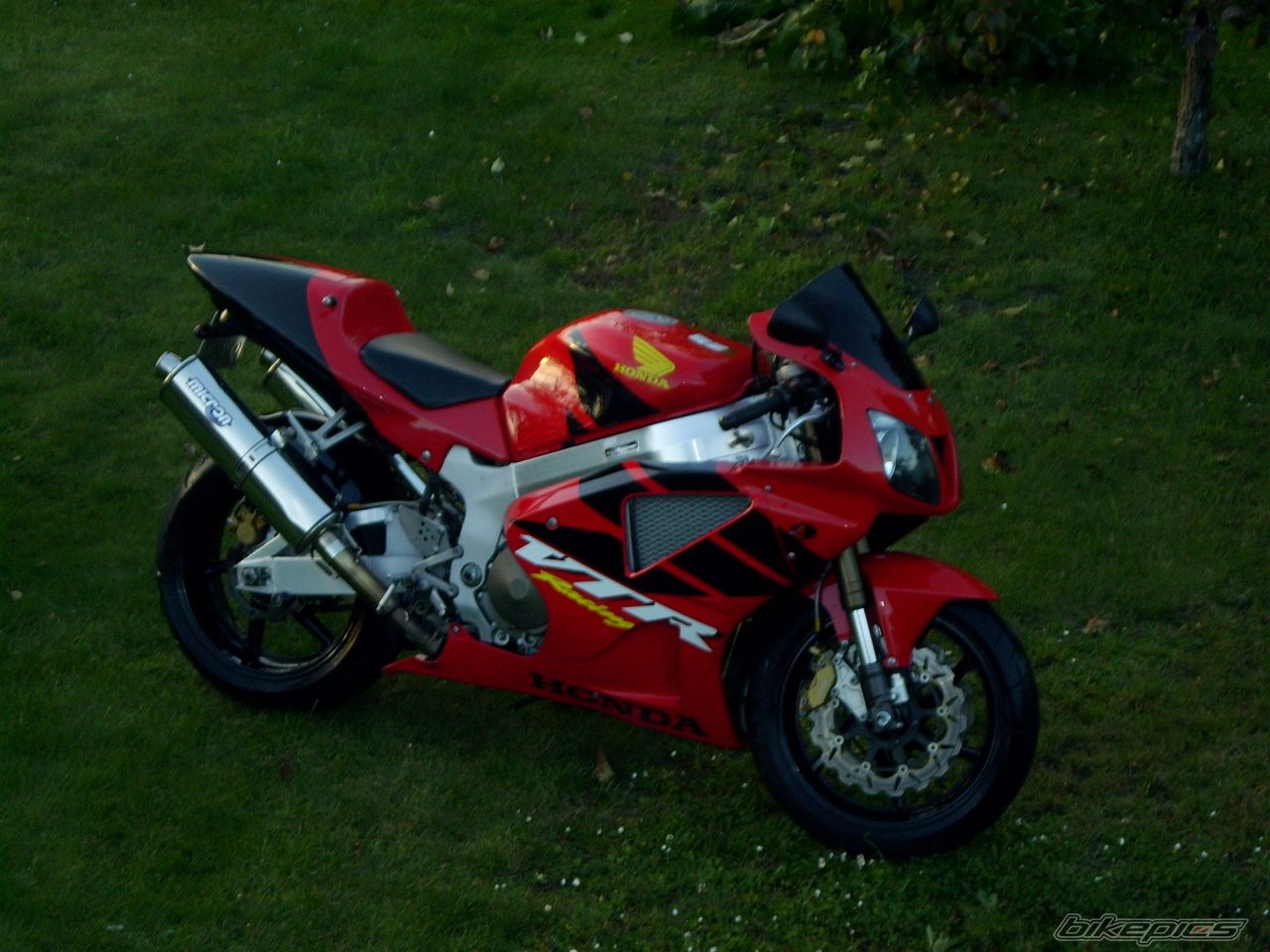 Photo 1214054