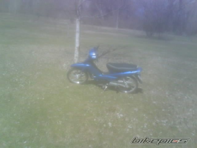 Photo 1214063