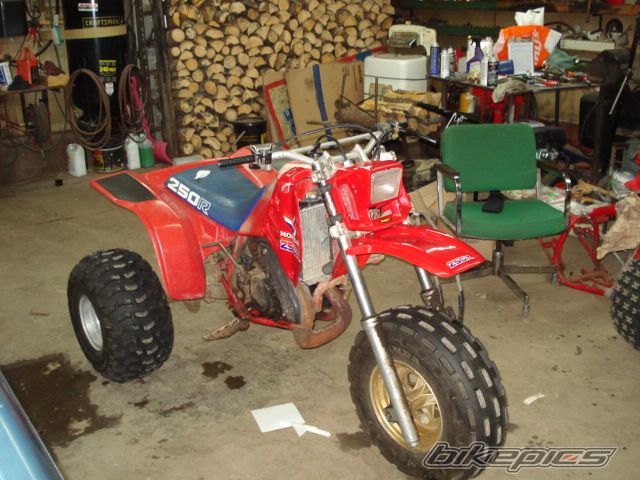 Photo 1214180