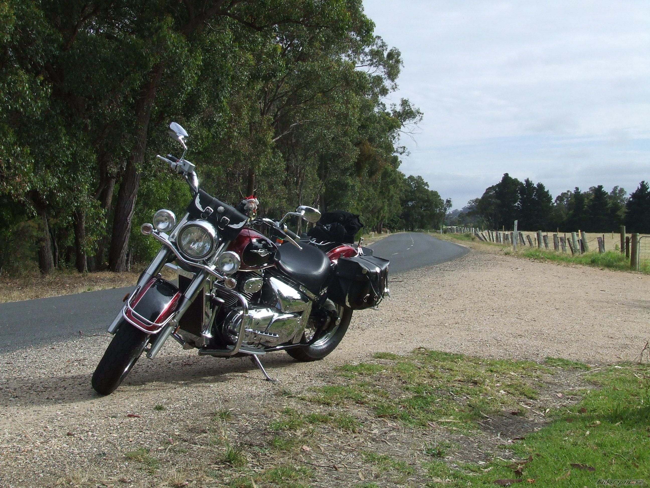 Photo 1214346