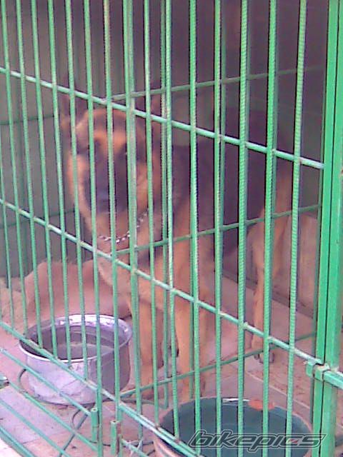 Photo 1214354