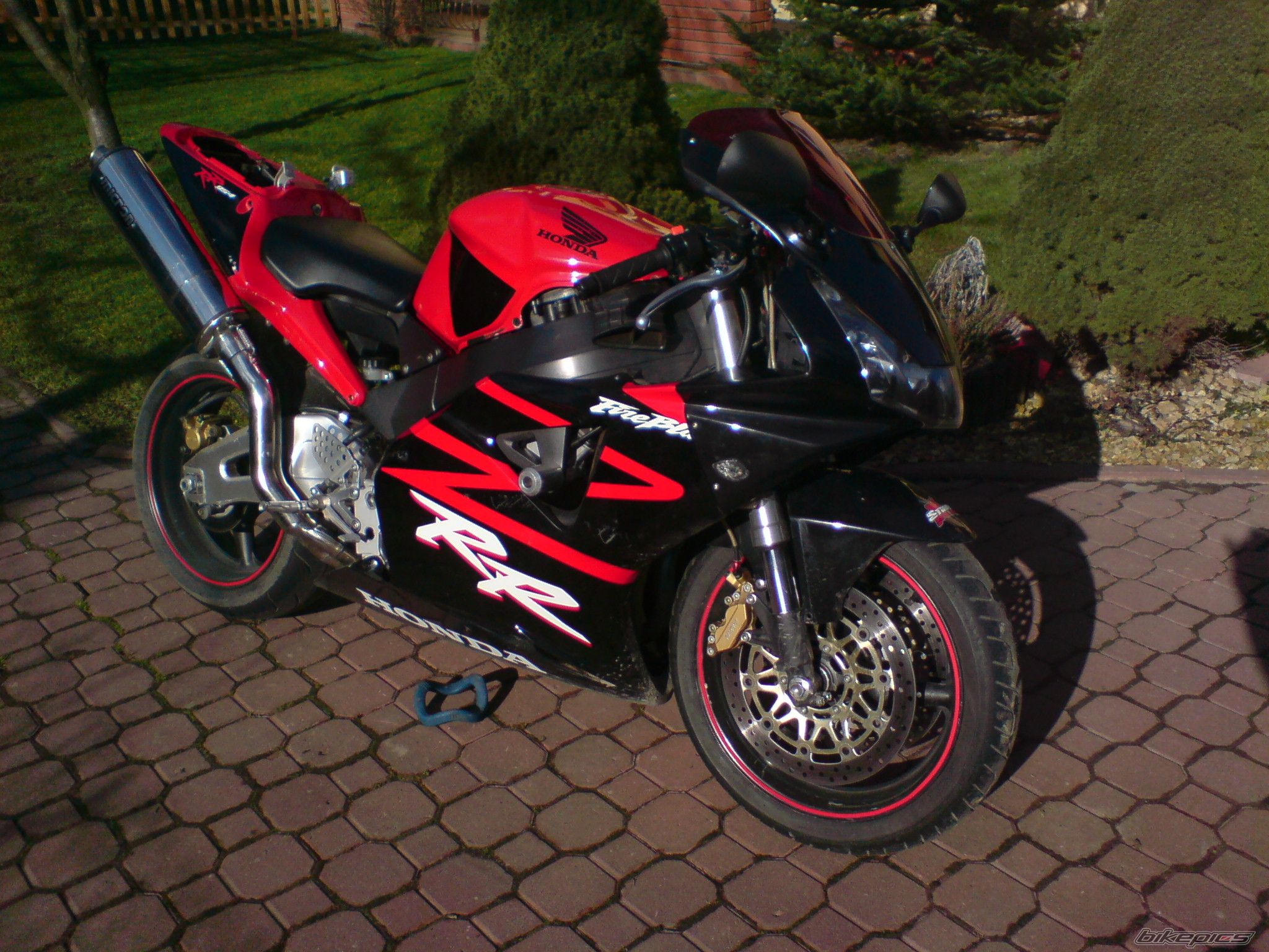 Photo 1214550