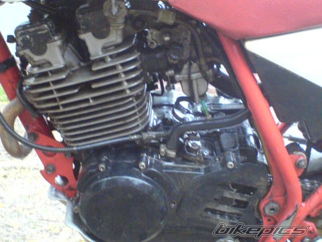 Bike Photo 1214688