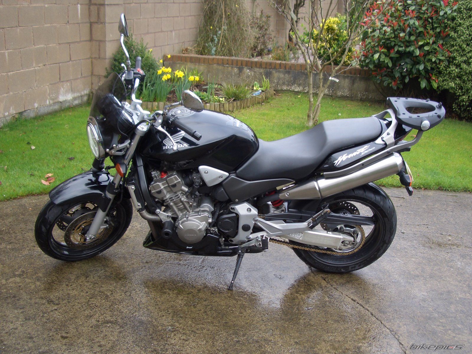 Photo 1214714