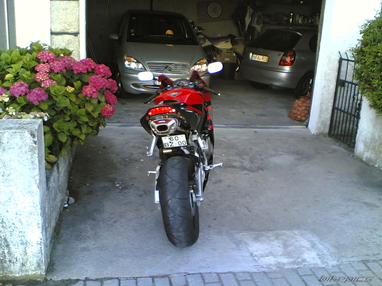 Photo 1214839