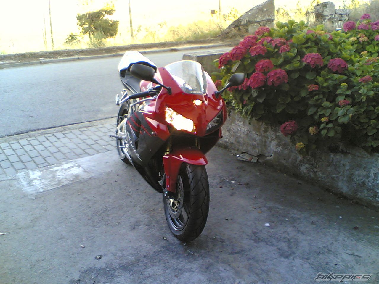 Photo 1214840