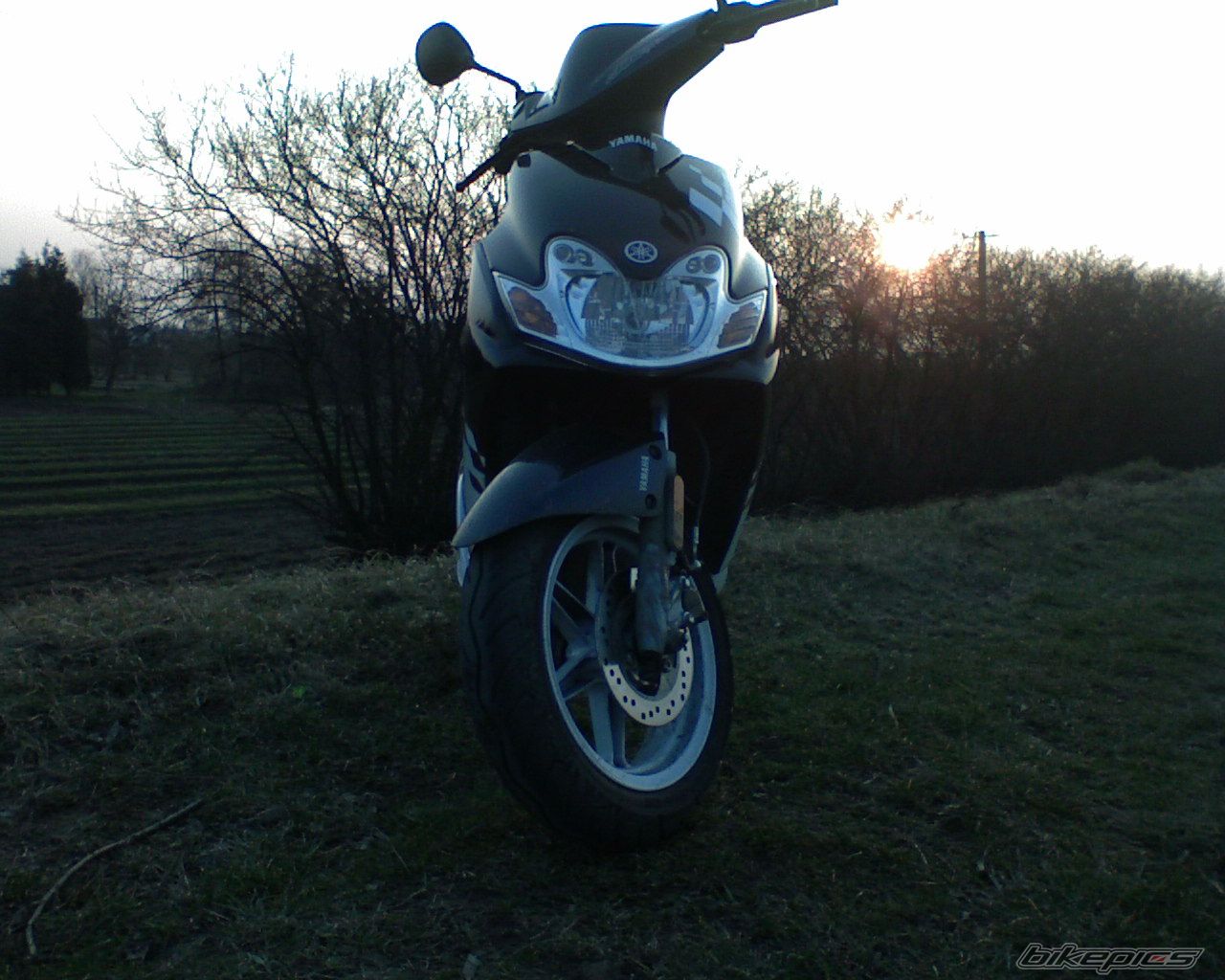 Photo 1214848
