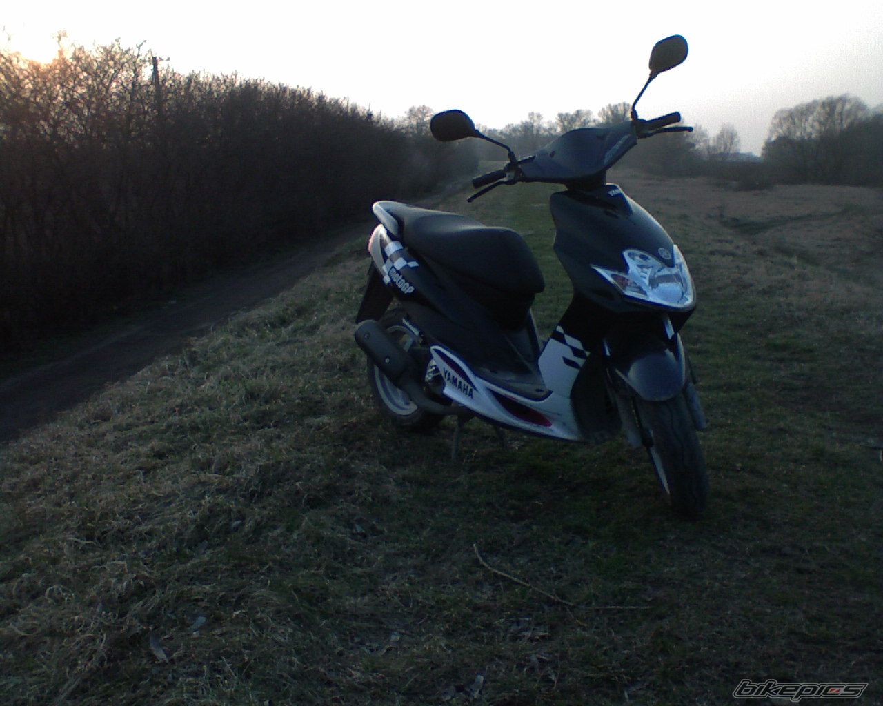 Photo 1214855