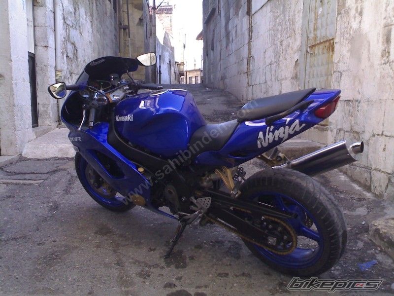 Photo 1215069