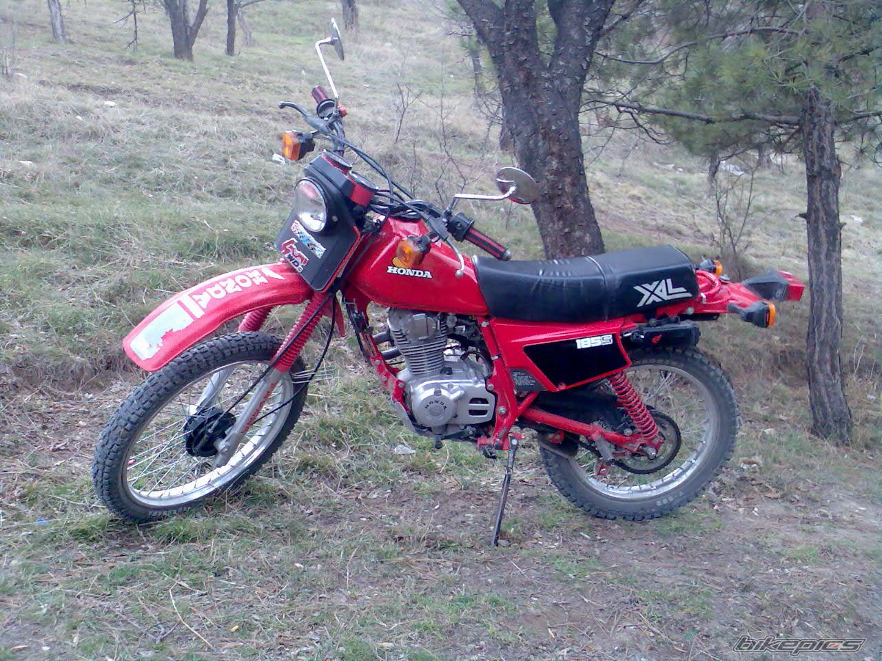 Photo 1215135