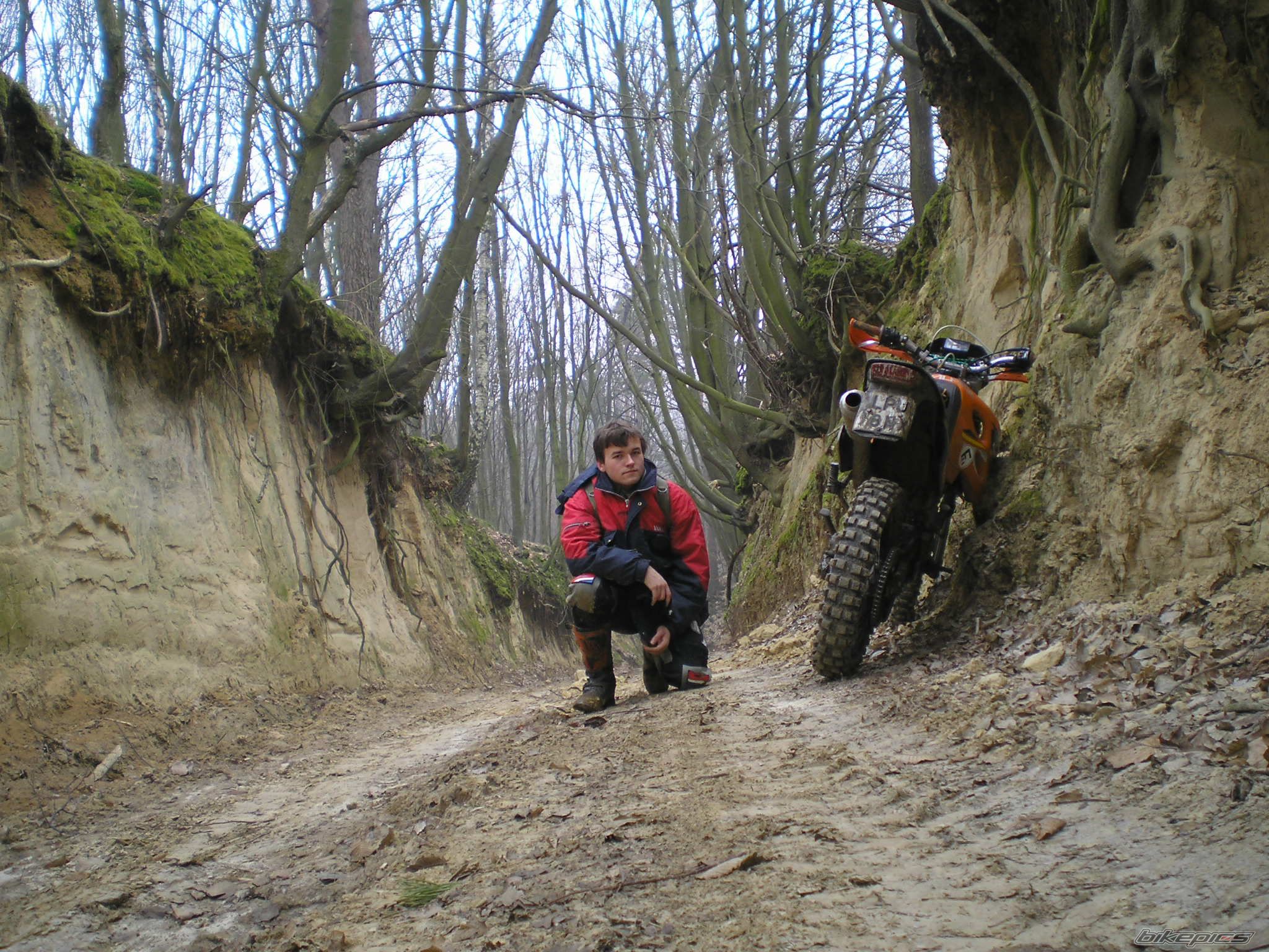 Photo 1215175