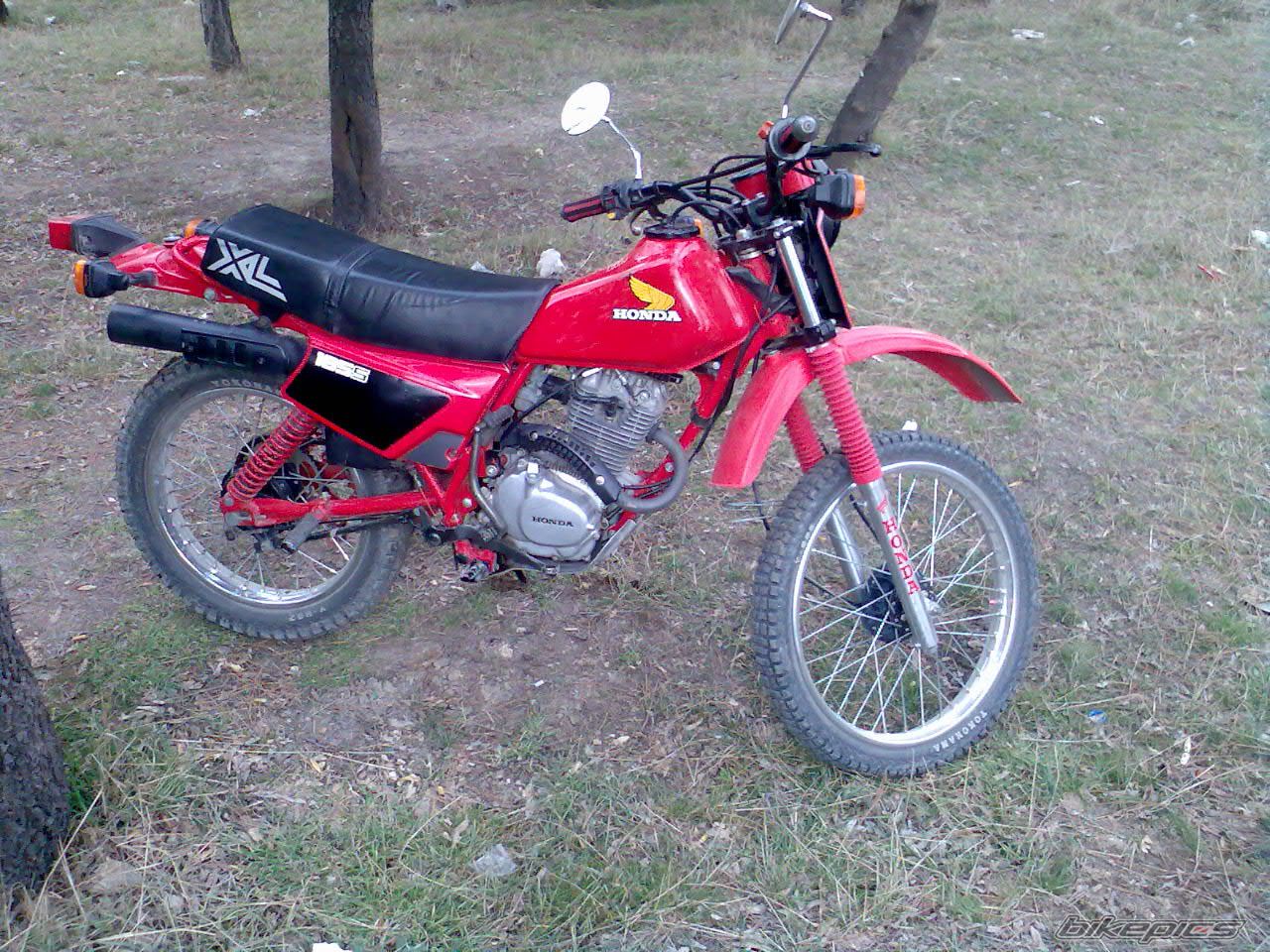 Photo 1215193