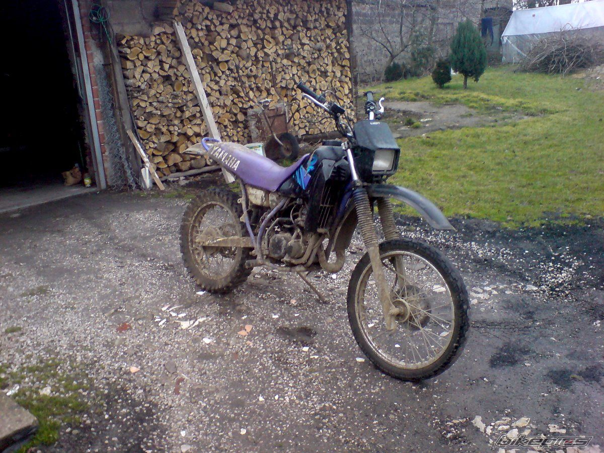 Photo 1215229