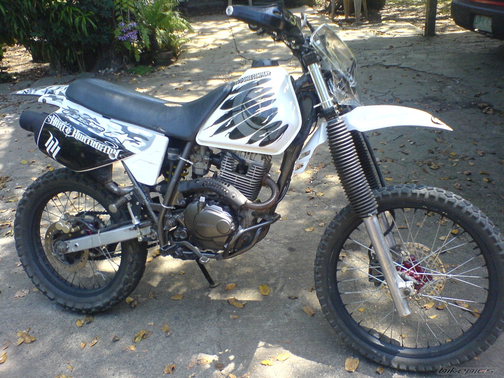 Photo 1215382