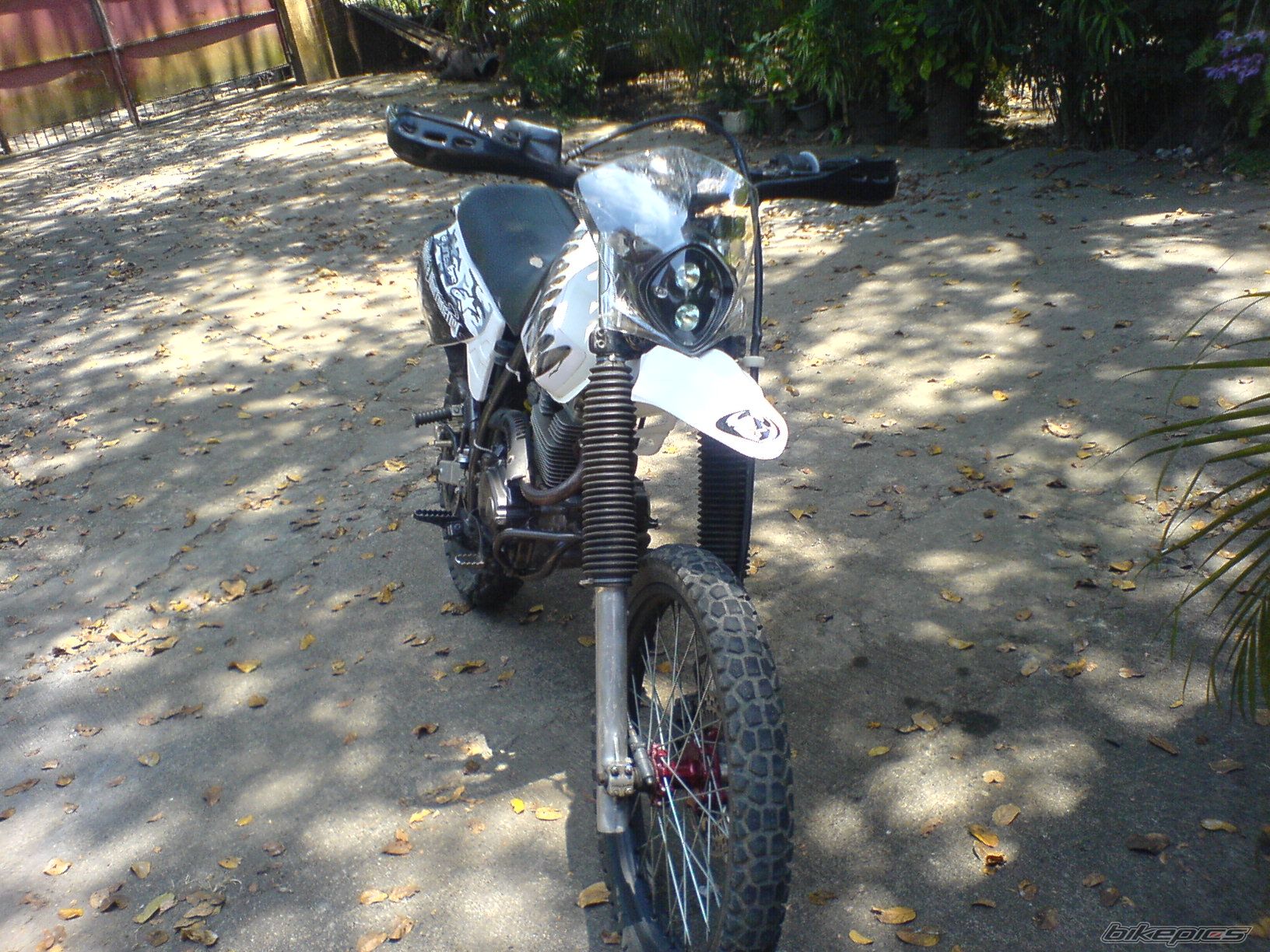 Photo 1215383