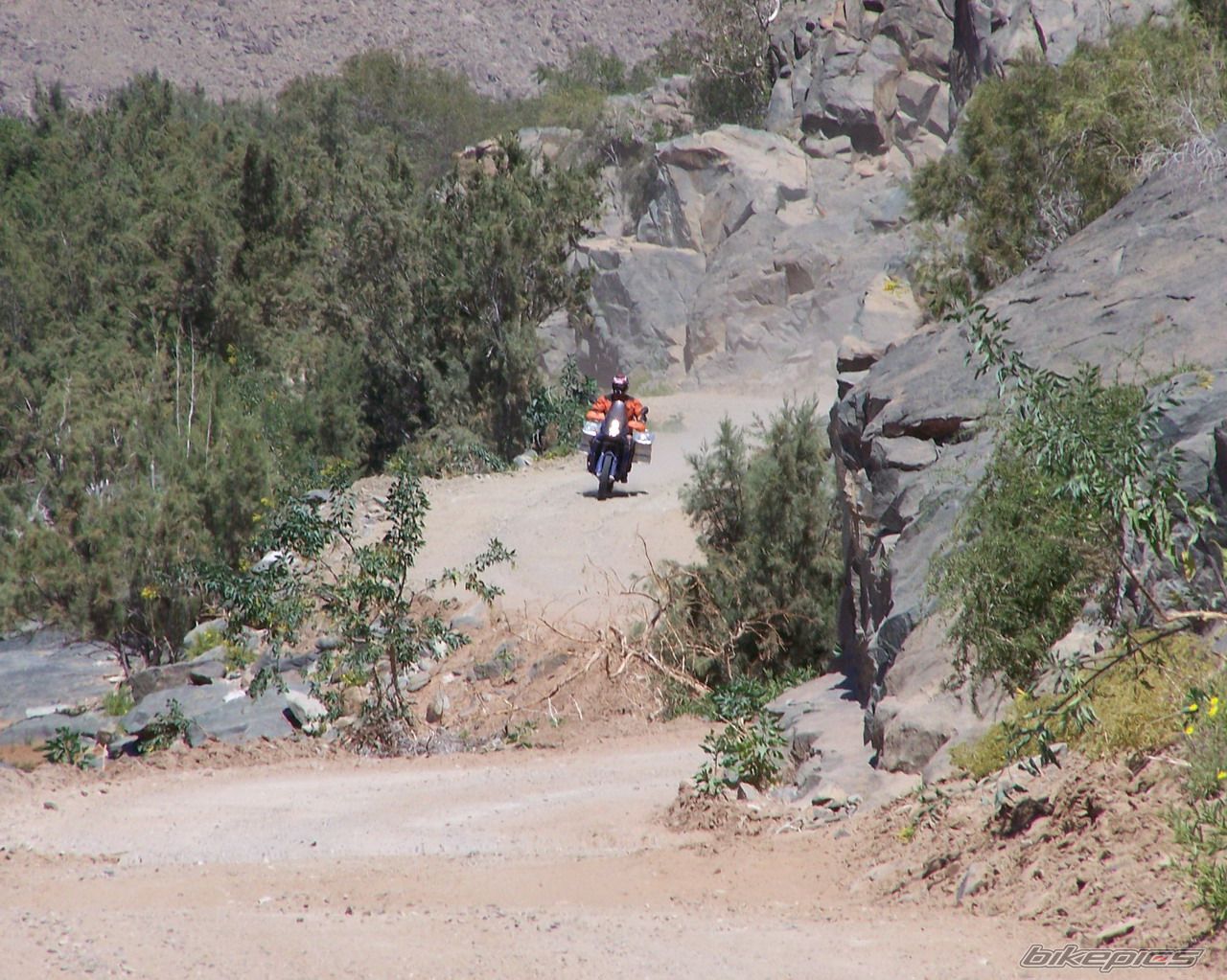 Photo 1215404