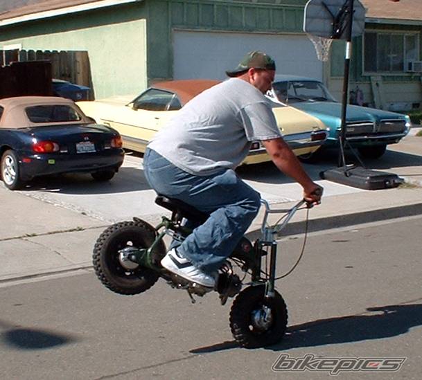 Photo 121547