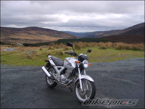 Photo 1215596