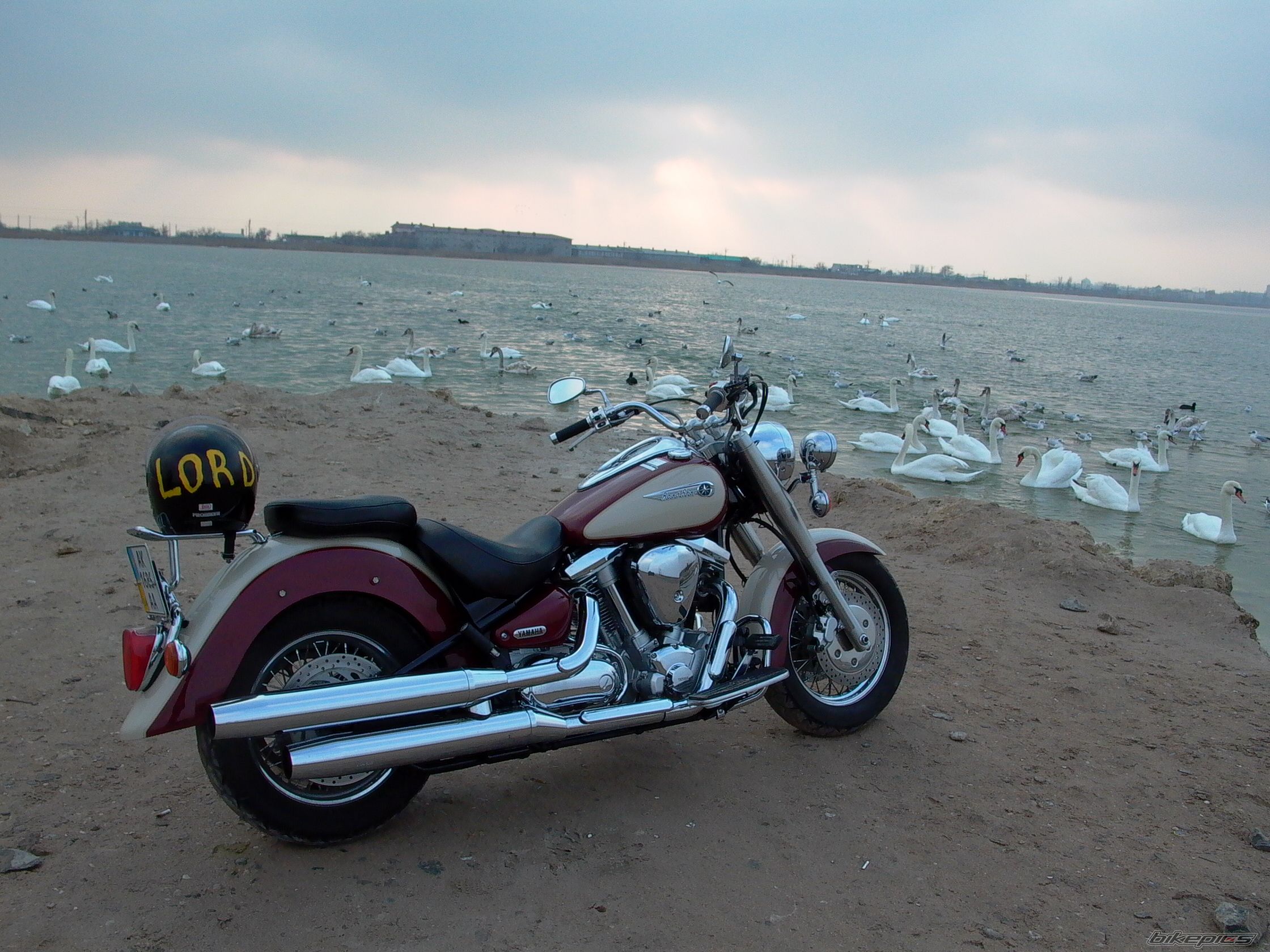 Photo 1215697