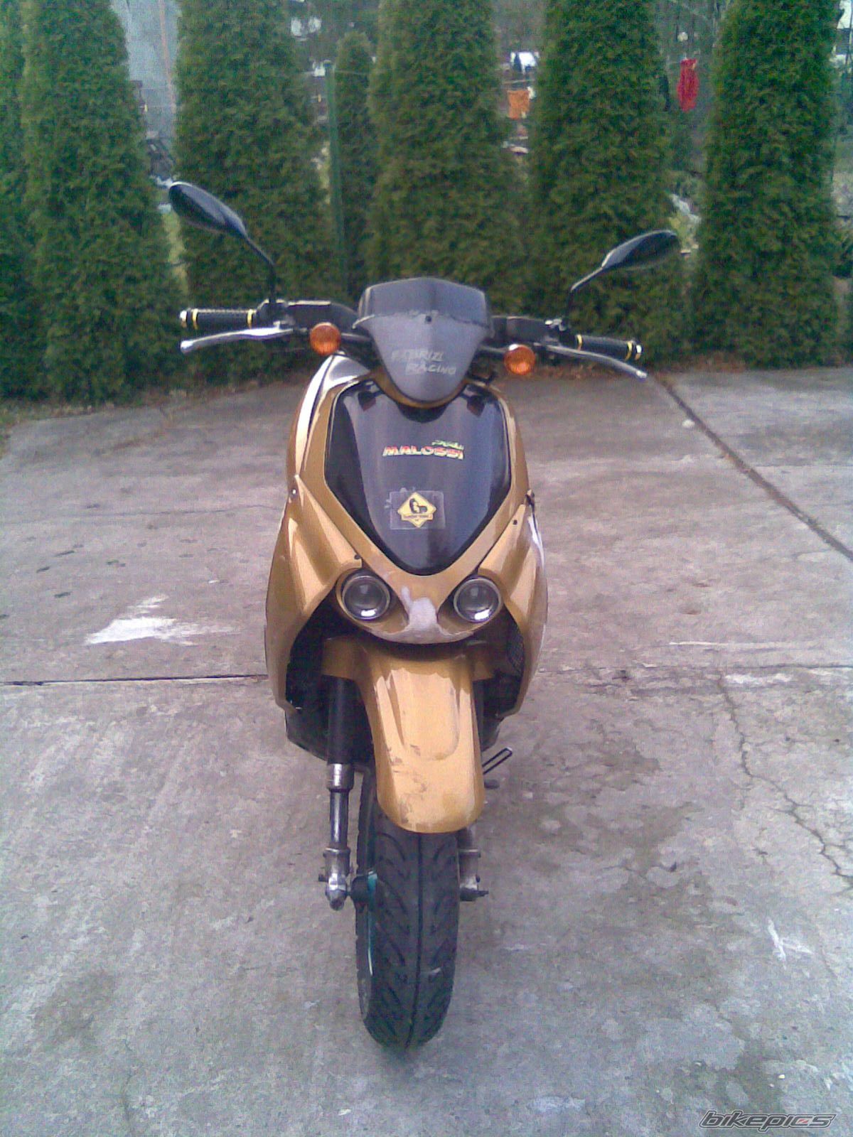 Photo 1215824