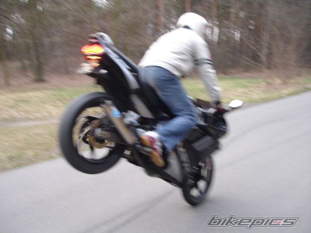 Photo 1215892