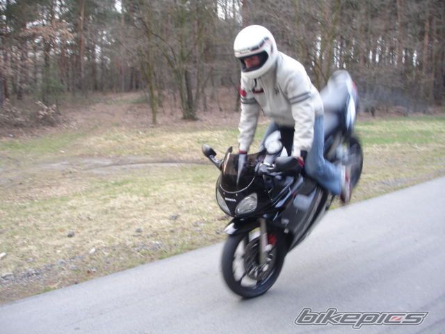 Photo 1215893