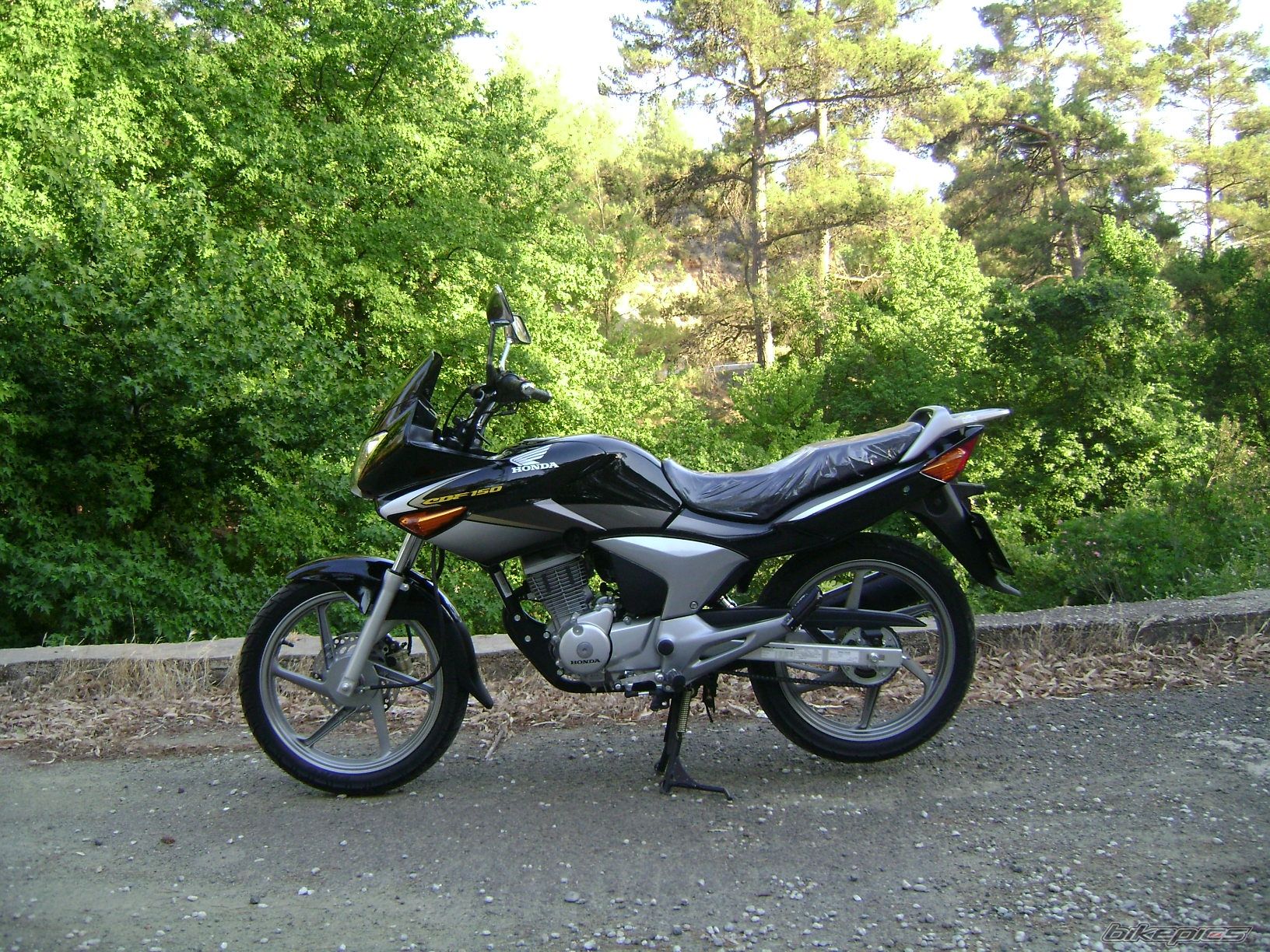 Photo 1215895