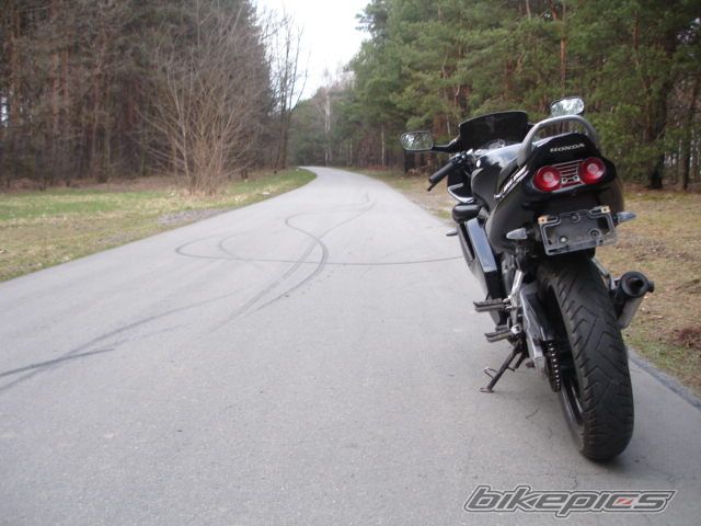 Photo 1215904