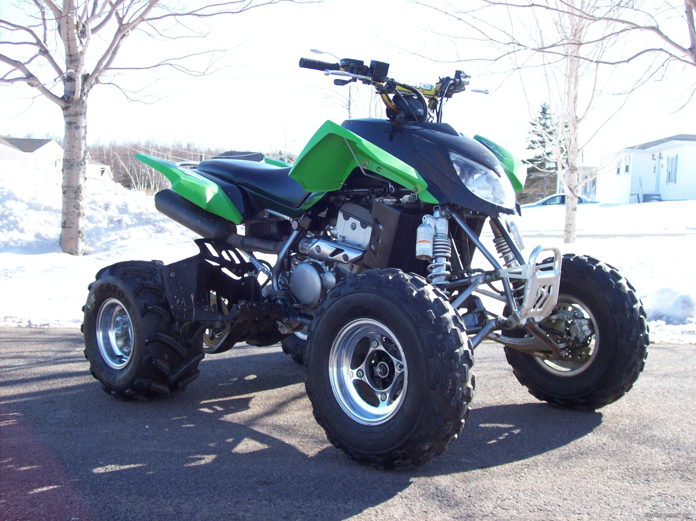 Photo 1215989
