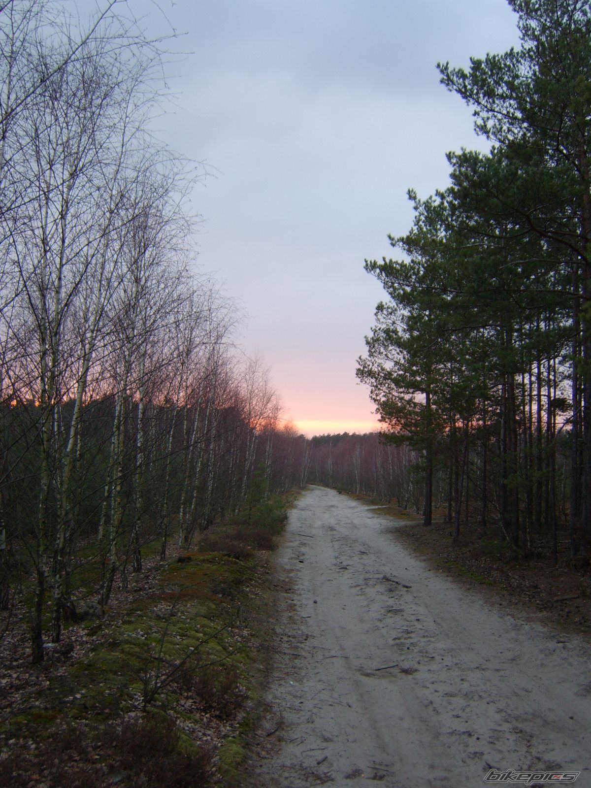 Photo 1216006