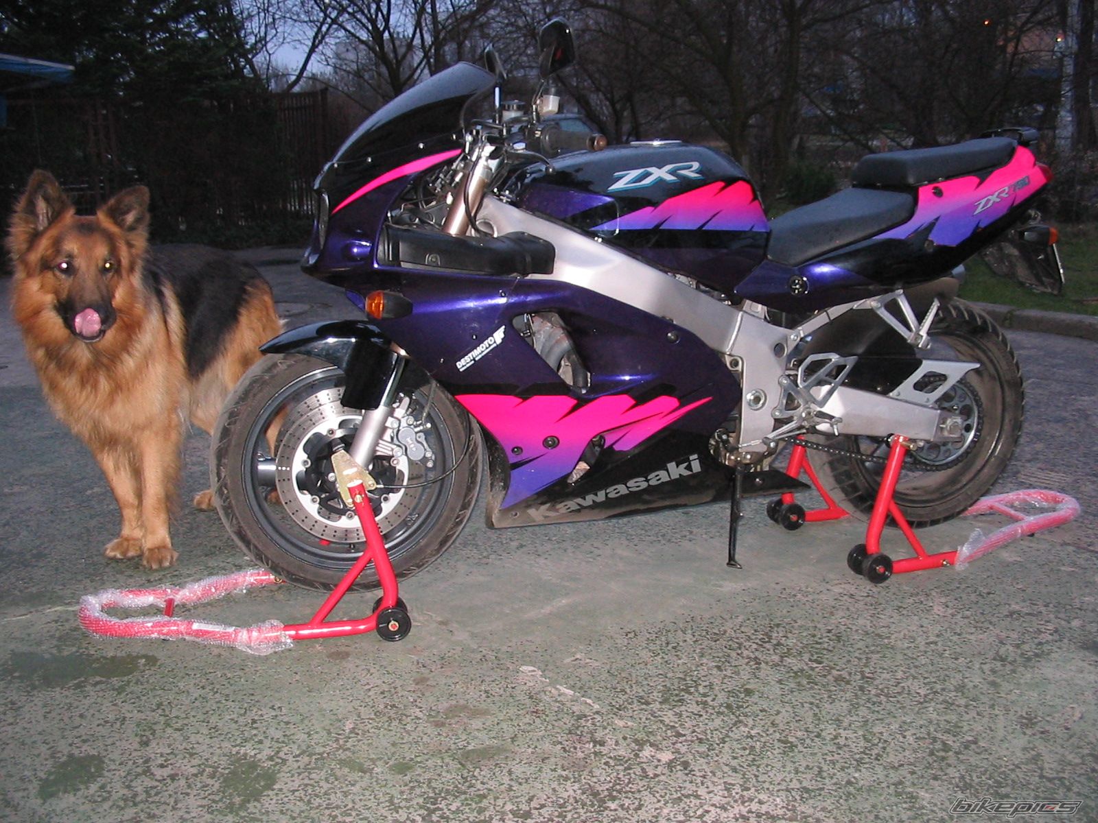 Bike Photo 1216031