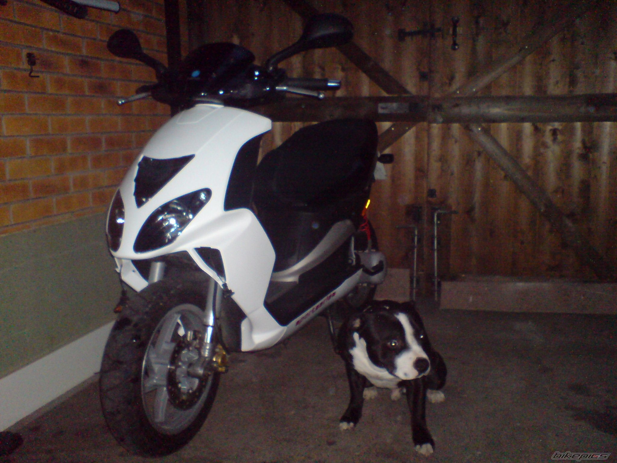 Photo 1216032