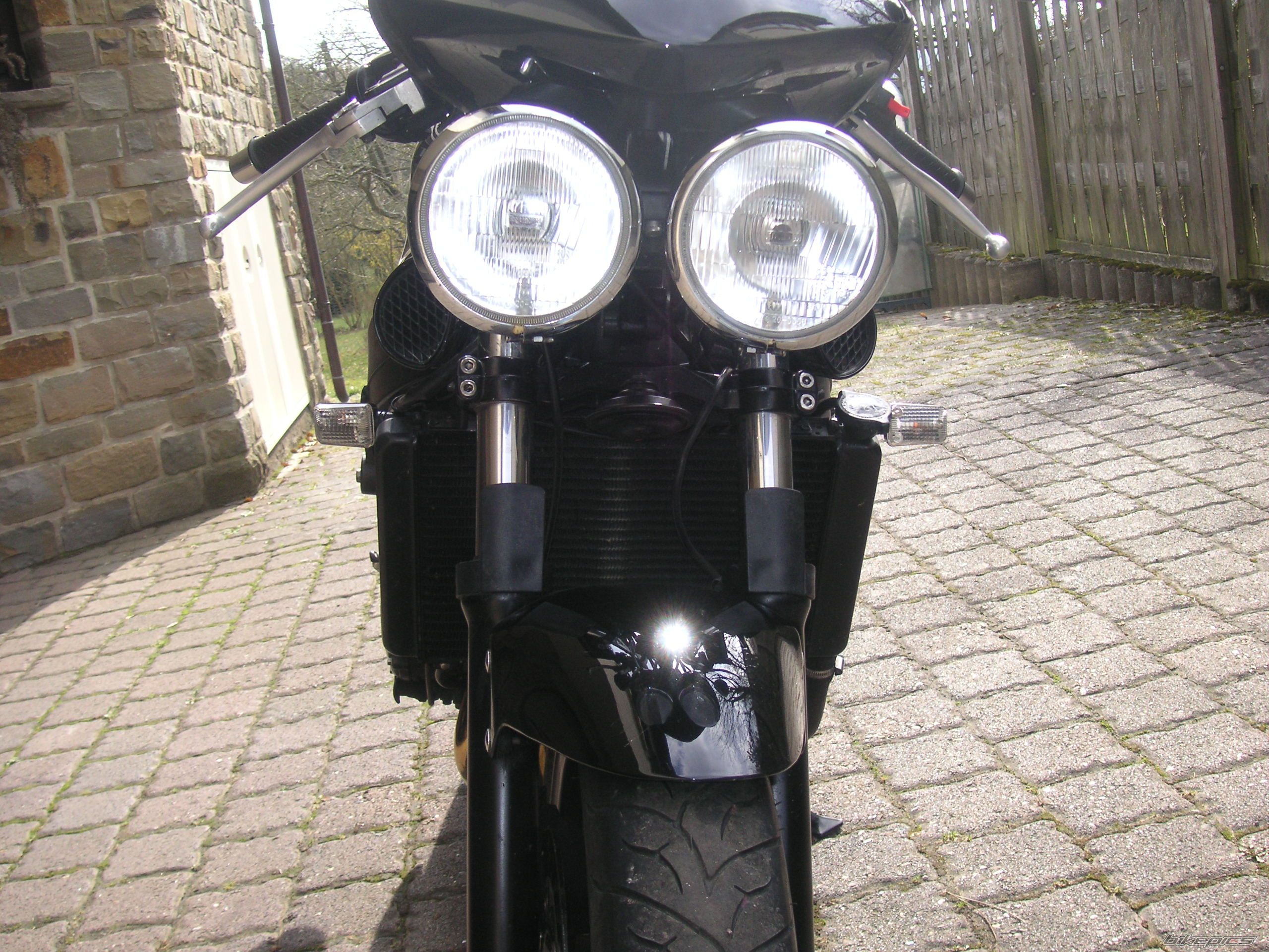 Photo 1216053