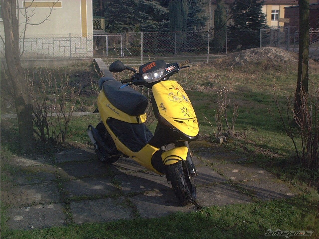 Photo 1216119